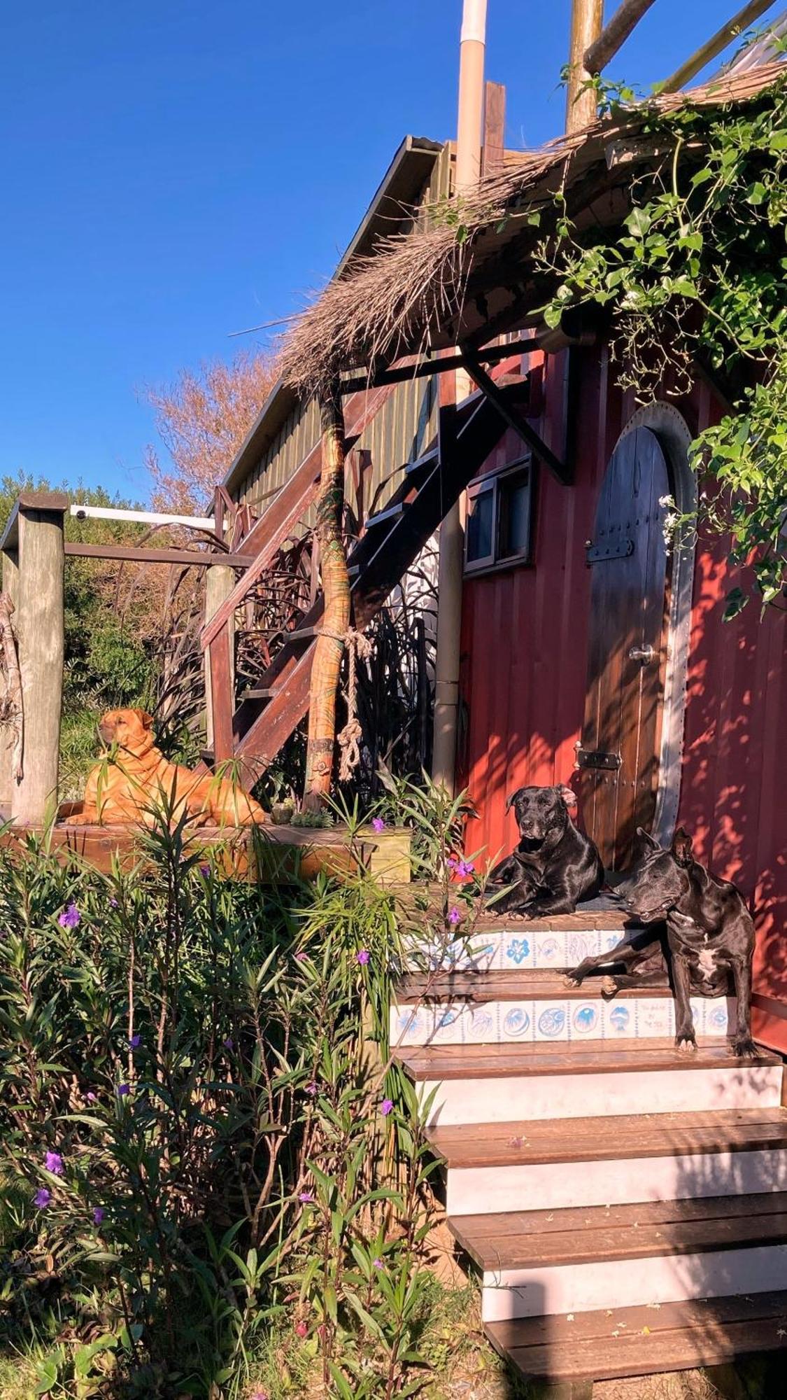 Angelo Guest House Punta Del Diablo Ngoại thất bức ảnh