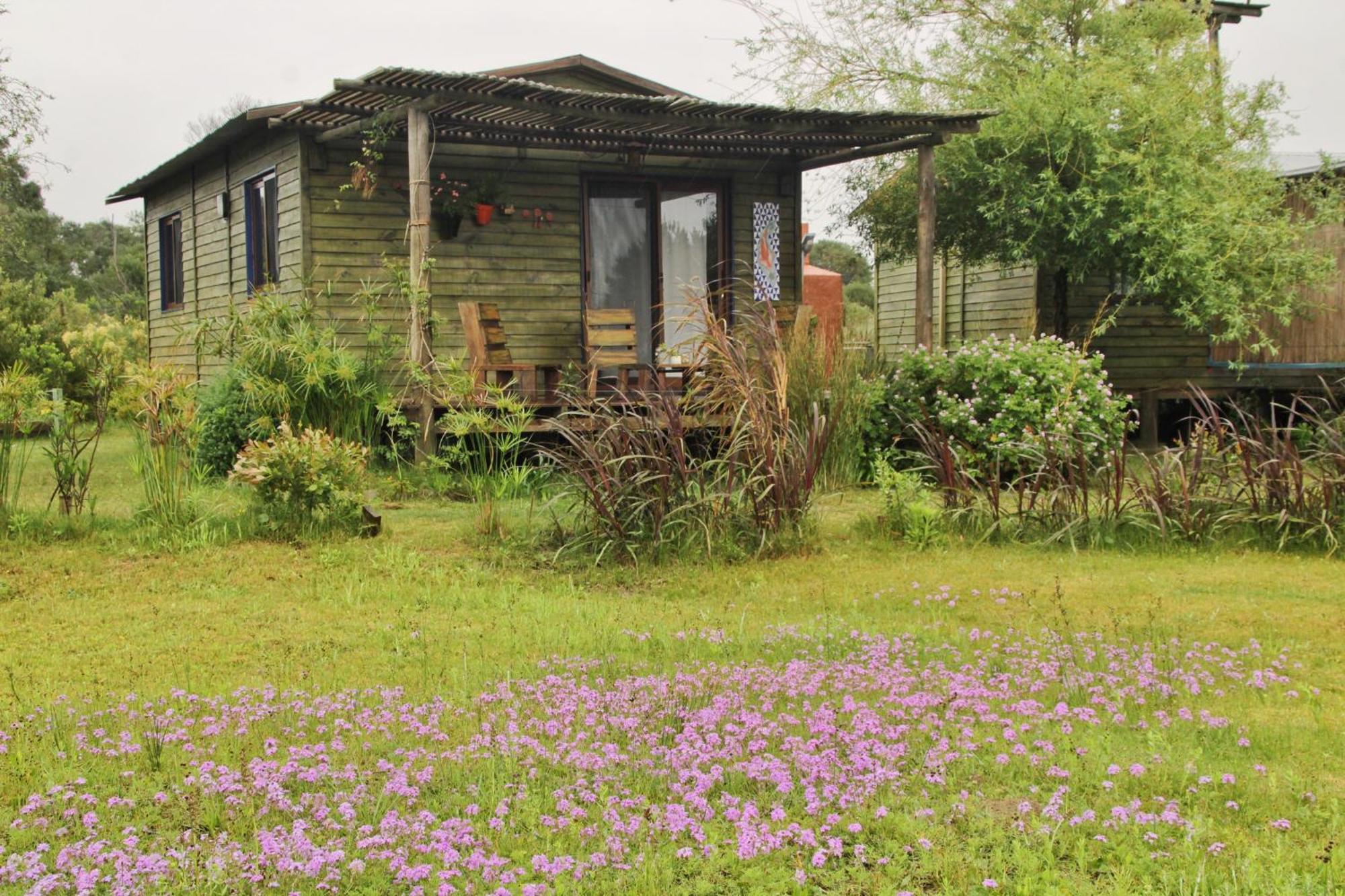 Angelo Guest House Punta Del Diablo Ngoại thất bức ảnh