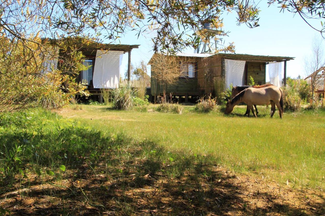 Angelo Guest House Punta Del Diablo Ngoại thất bức ảnh